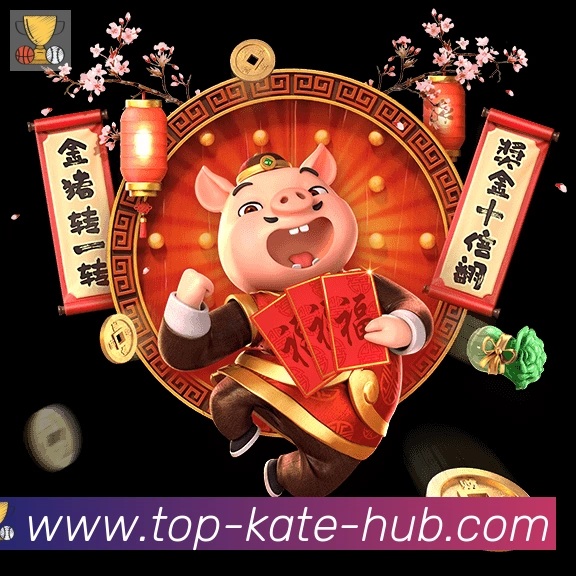 未来规划